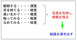 図１　われわれが未知なものに出会った瞬間とる行動は？