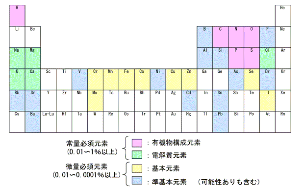 図５　生体中の必須元素（第６周期まで）