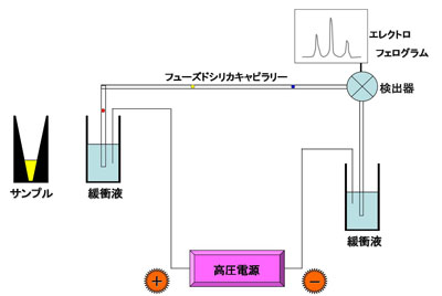 図２　LC（特にIC）の装置構成