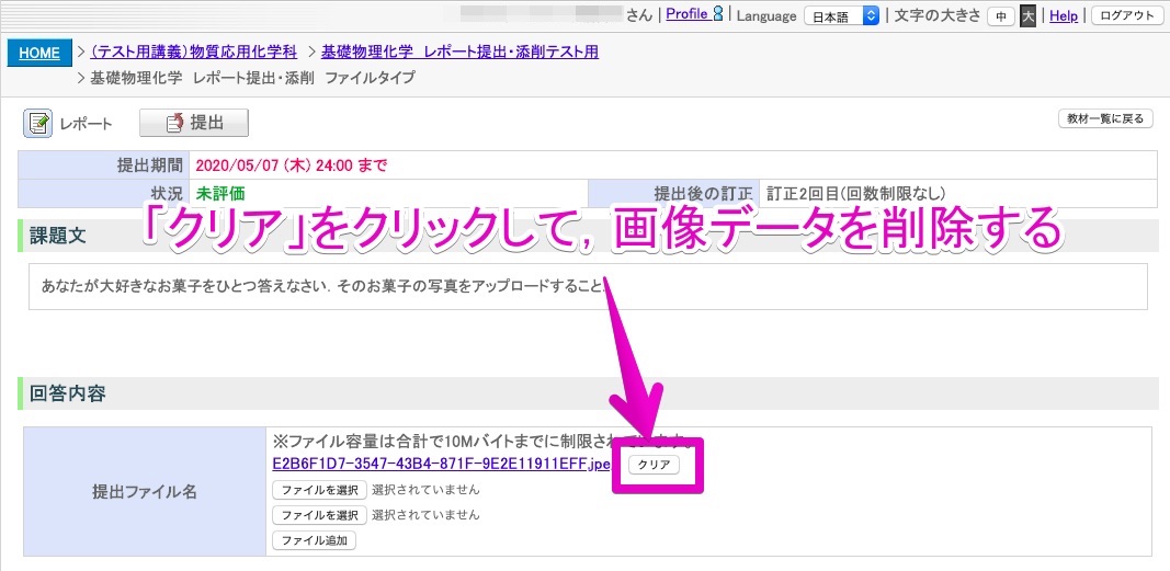 3. 一旦提出した画像データの「クリア」をクリックして，削除する．