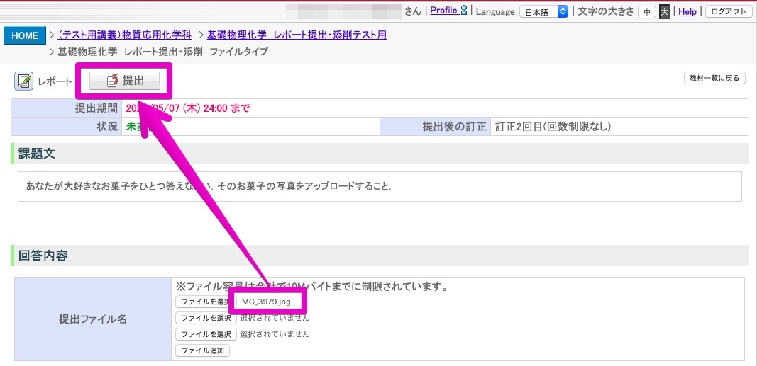5. 新しいファイルをアップロードしたことを確認した後，「提出」をクリックする．