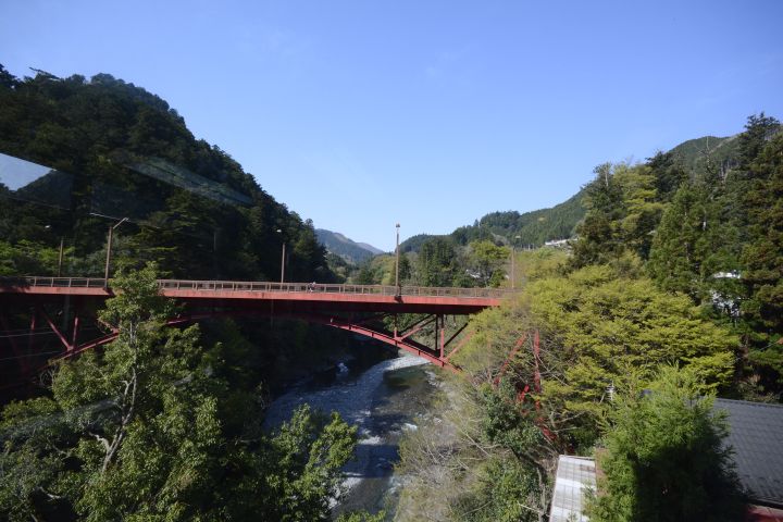 旅館からの景色